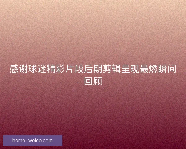感谢球迷精彩片段后期剪辑呈现最燃瞬间回顾