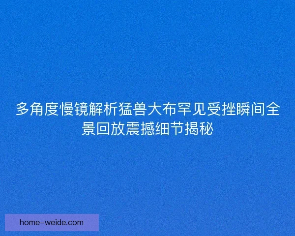多角度慢镜解析猛兽大布罕见受挫瞬间全景回放震撼细节揭秘